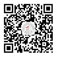 黑龙江4